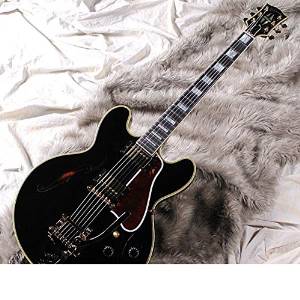 Free Shipping Gibson Memphis Limited Run Es-355 W/bigsby (Antique Ebony)