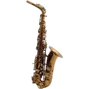 MACSAX