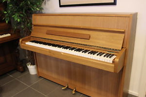 Young Chang Klavier, Nussbaum, vom Klavierbaumeister