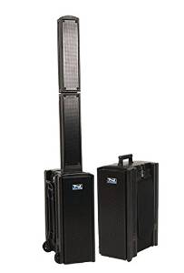 Anchor Audio, Beacon Line Array w/ Bluetooth and Two built-in Wireless Receivers, BEA-8000U2