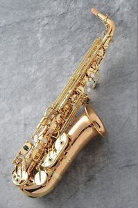 Yanagisawa A-WO1 Alto Saxophone New w/Hard Case made in Japan FS