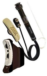 LR Baggs R baggs anthem split (lowden, takamine)