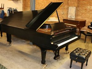 2003 Steinway Concert Grand Piano Model D