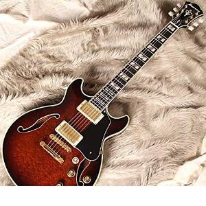 Free Shipping Ibanez Am205-av