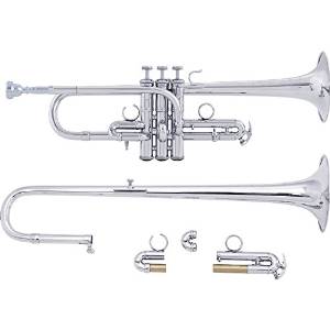 Bach ADE190 Stradivarius Artisan Series Eb/D Trumpet ADE190S Silver