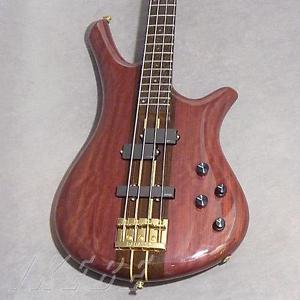 ESP Custom Order