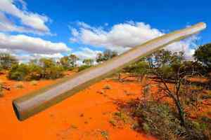 Traditionelles B Mago Eukalyptus Didgeridoo Termite eaten
