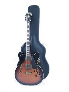 Washburn HB36K Vintage Style Hollow Body Electric Guitar 335 w/Case - Blem #966
