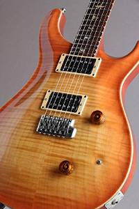 Free Shipping Used Paul Reed Smith(prs) Custom24 Bird Inlay Brazilian