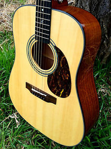 "EZ-Play" Solid Acoustic Electric Dreadnought Guitar w/ Recording King RD316