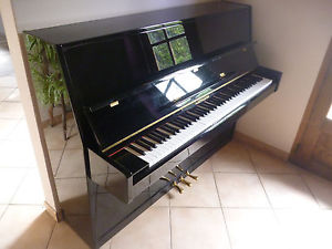 Piano d'étude droit première main de 2005. En excellent état. Marque: Hartmann.