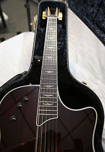 TAYLOR T5-12 & T5-6 CUSTOM BOOKMATCHED COCOBOLO ELECTRIC  GUITAR SET