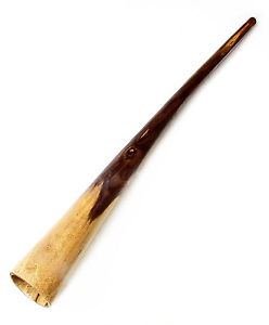Master Didgeridoo from PALISANDER WOOD -D - Free bag+ free shipping