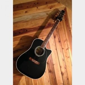 Takamine EF341SC EF-341 Black FREESHIPPING/123