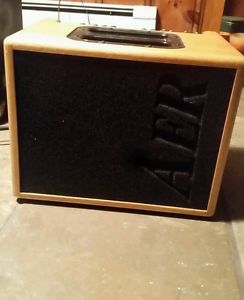 AER Compact 60/2 Wood Cabinet Acoustic Guitar Amplifier