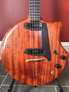 Davidson 5-String Electric Solid Body Banjo