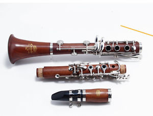 17 Key Handwork Wood B Flat Professional Musical instrument Clarinet #