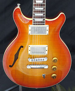 HAMER USA ARTIST GATA SEMI With Hard shell case