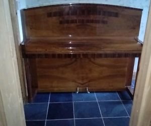 Beautiful Danemann Piano