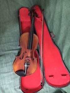 Violino