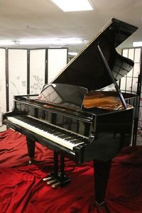 Bosendorfer Model 200 Ebony Grand Piano 6'7" 1976 WORLDWIDE SHIPPING!