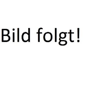 Rossmeisl Vintage Guitar Gitarre Schaller Pickup Tonabnehmer Roger Archtop 60s