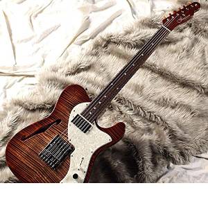 Free Shipping Freedom Custom Guitar Research Brown-pepper Semi Order Model 5a-flame Maple Top (Mk)