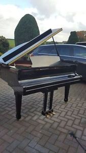 Steinbach 4.6" baby grand piano | Belfast pianos