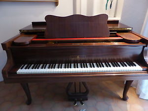 Steinberg Flügel im Chippendale Stil