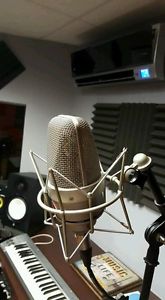 Neumann TLM 49 Condenser Cable Professional Microphone