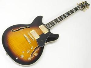 Ibanez JSM10 John Scofield Jazz Fusion w/Hard case Electric Guitar EMS Shipping