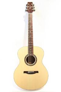 Free Shipping Paul Reed Smith Tonare Grand Standard Guitar