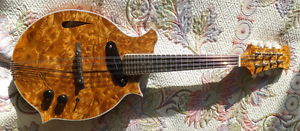 New Hand Built 8 String Electric Mandolin (With video demo)