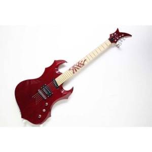 ESP ORDER MODEL