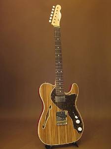 Free Shipping Psychederhythm Hollow T-line Custom Electric Guitar