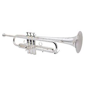 Schilke HC2 Handcraft Series Custom Bb Trumpet HC2-S Silver (HC2-S Silver)