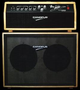 Don Wilson Signature Guitar Amp Surf Reverb
