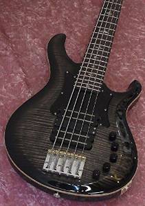 Free Shipping Paul Reed Smith Grainger 5 Strings Bass 10 TOP Withp,g&ramp Cb