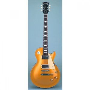 Edwards E-LP-100SDGO Edwards Obtaining Commodity Electric Guitar Deal From JP