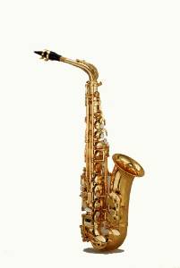 Chateau Alto Saxophone Professional Model VCH-800GGY2 Gold plated body