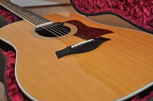 Taylor 810e Dreadnought Acoustic/Electric Guitar