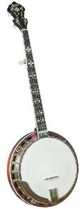 Gold Star Model GF-100HF Pro Banjo with Hearts & Flowers Inlays (5 String)