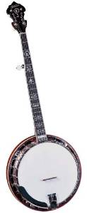 Gold Star Model GF-100W  Pro Banjo with Wreath Inlays (5 String)
