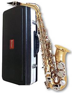 Selmer Alto Saxophone AS500 Outfit
