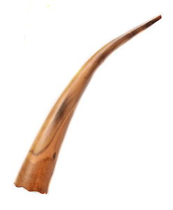 Didgeridoo from green Gibiscus wood 214 cm - C
