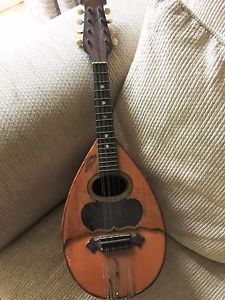 Mandoline Napolitaine Gelas 1913 no 2410 with case
