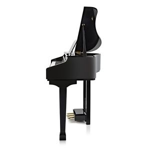 Grand Piano The most beautiful Digital Piano available.
