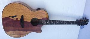 Luna Vista Eagle Acoustic Electric Guitar with Hardshell Case