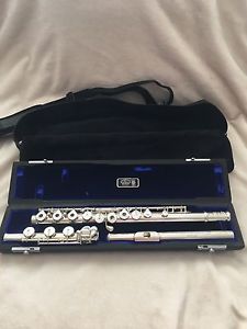 W.S. Haynes Flute Q2 Solid Silver Gold Riser 14k Wall New With Offset G