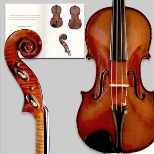 A fine old violin by Albert Deblaye - Certificate of authenticity
